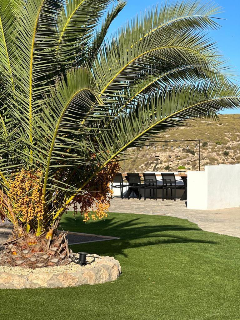 Los Palmitos Agua Amarga  Esterno foto